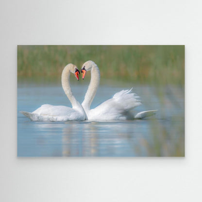 Love on the Lake by Khaldoon Aldway