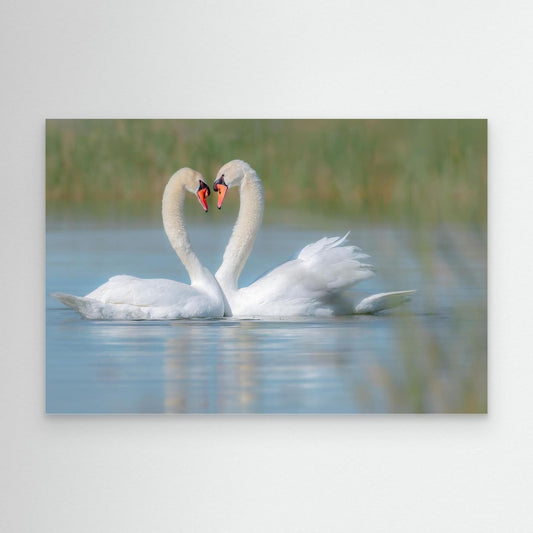 Love on the Lake by Khaldoon Aldway