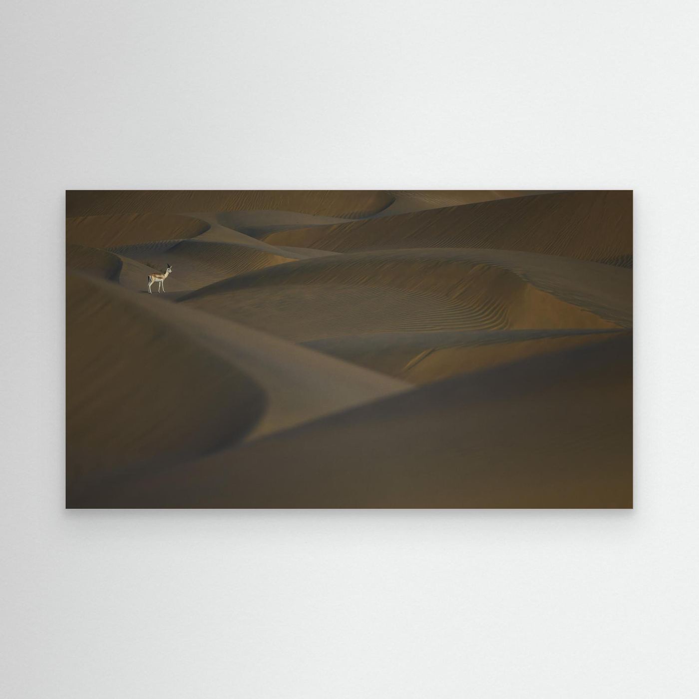 Desert Sentinel