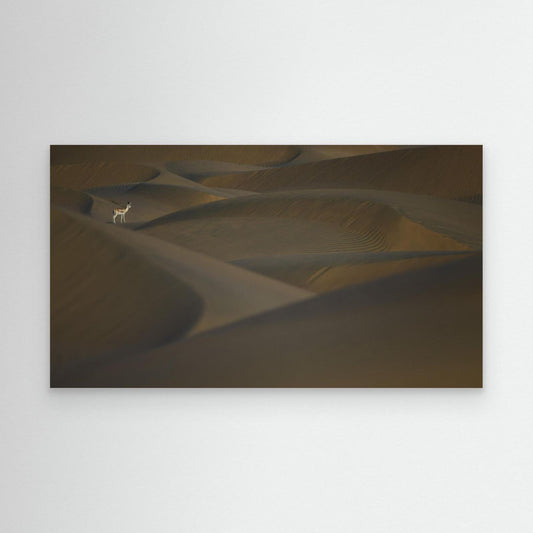 Desert Sentinel