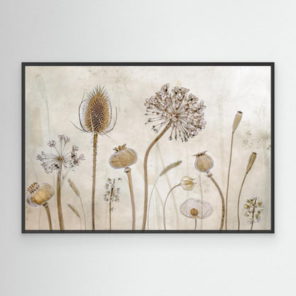 Growing old by Mandy Disher