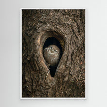 Load image into Gallery viewer, Peek from the Bark by Khaldoon Aldway