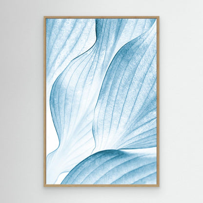 Icy Waves by Beth Buelow
