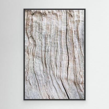 Wood Pattern by Pictufy Studio Iii