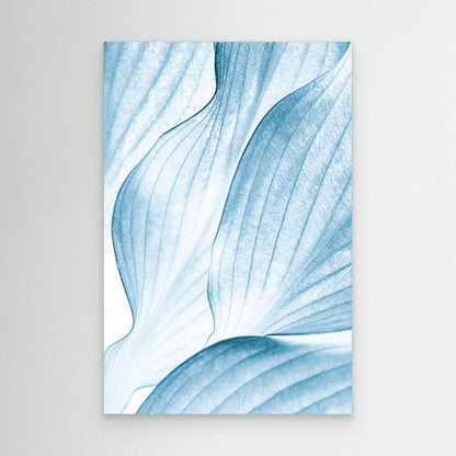 Icy Waves by Beth Buelow