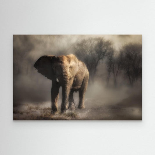 Misty Elephant Walk by Charlaine Gerber