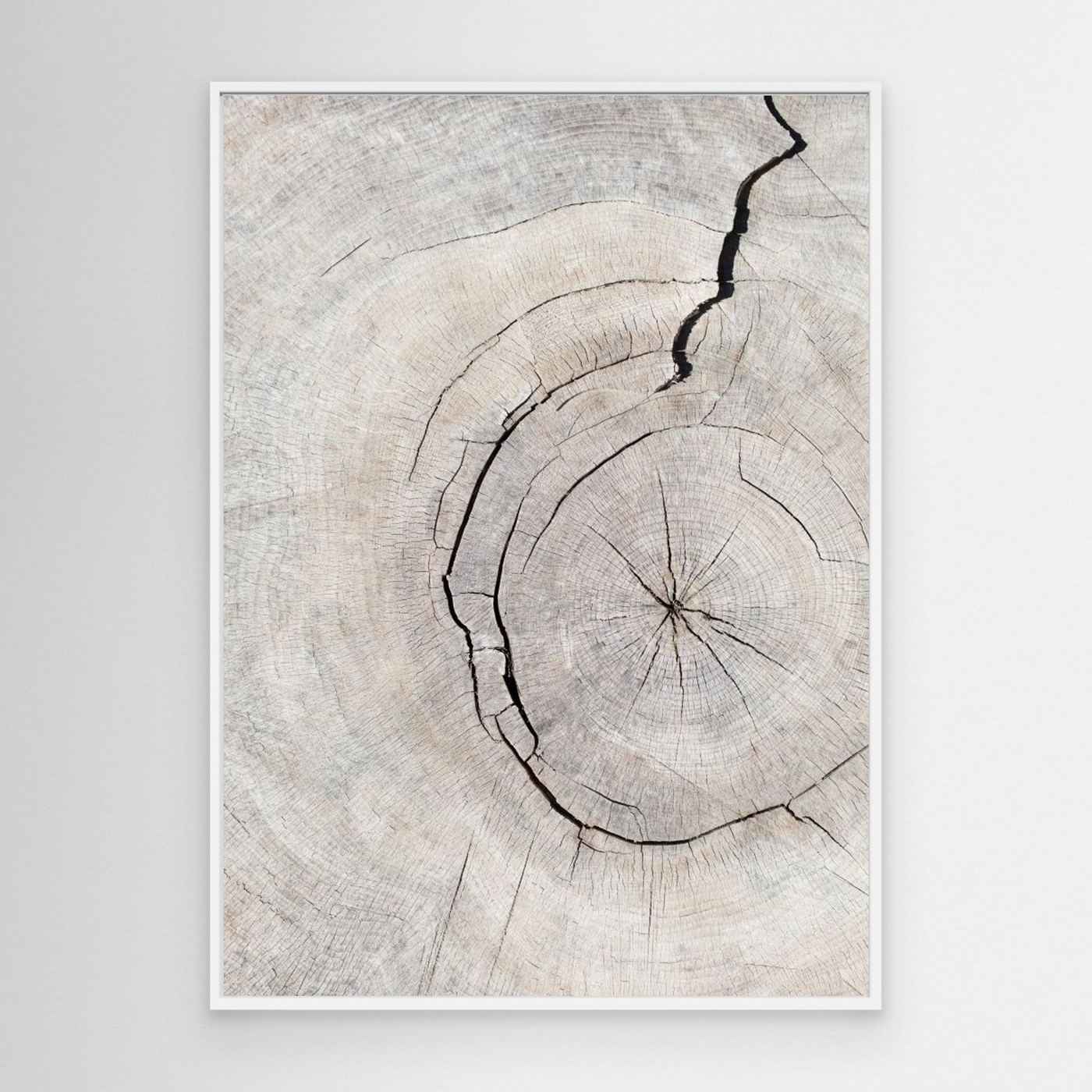 Pattern_wood_2 by Pictufy Studio Iii